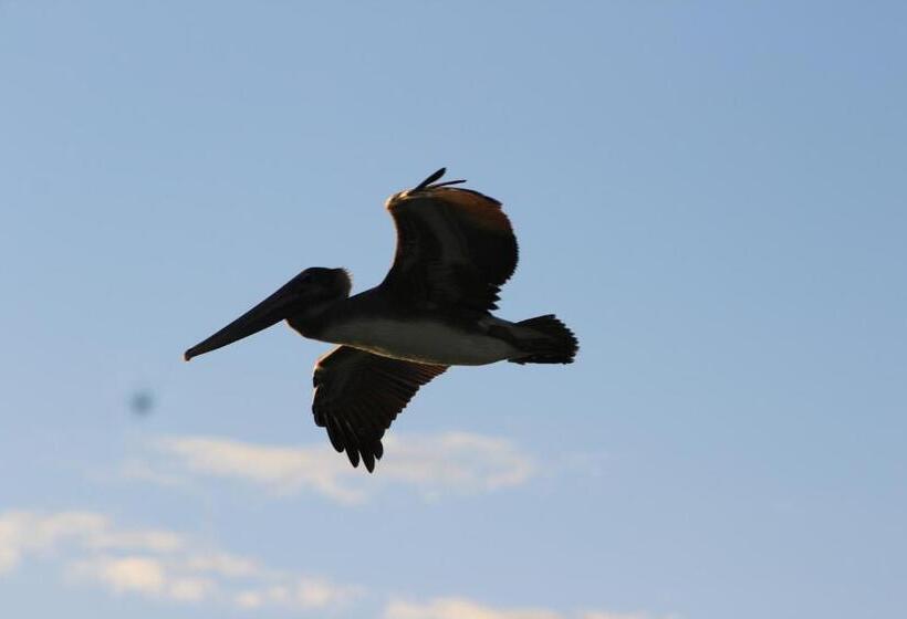غرفة ديلوكس, The Crimson Orchid Inn At Orchid Bay
