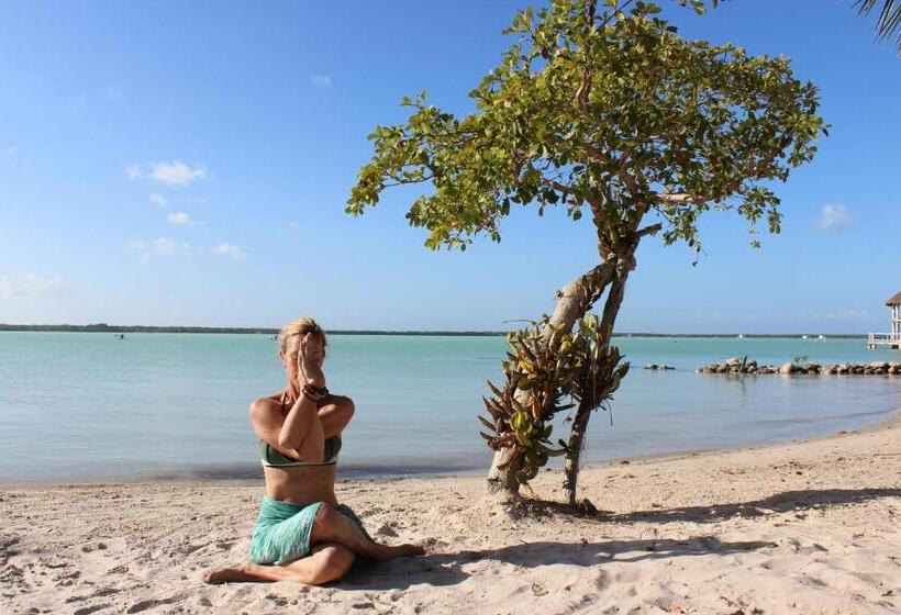 جناح ديلوكس سرير كينج, The Crimson Orchid Inn At Orchid Bay