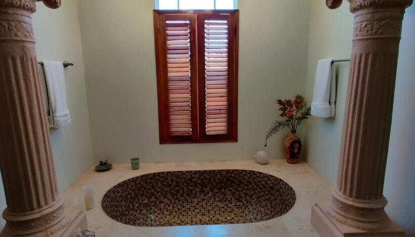 جناح ديلوكس سرير كينج, The Crimson Orchid Inn At Orchid Bay