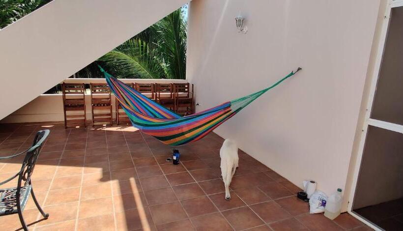 جناح ديلوكس سرير كينج, The Crimson Orchid Inn At Orchid Bay