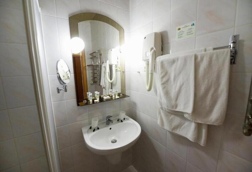 اتاق استاندارد یک نفره, Zoloto Karpat