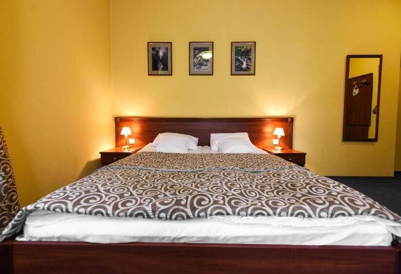 سوییت جونیور, Zoloto Karpat