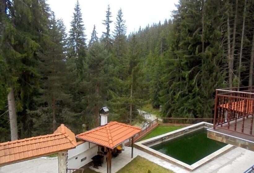 Номер Стандарт, ивелия къща за гости