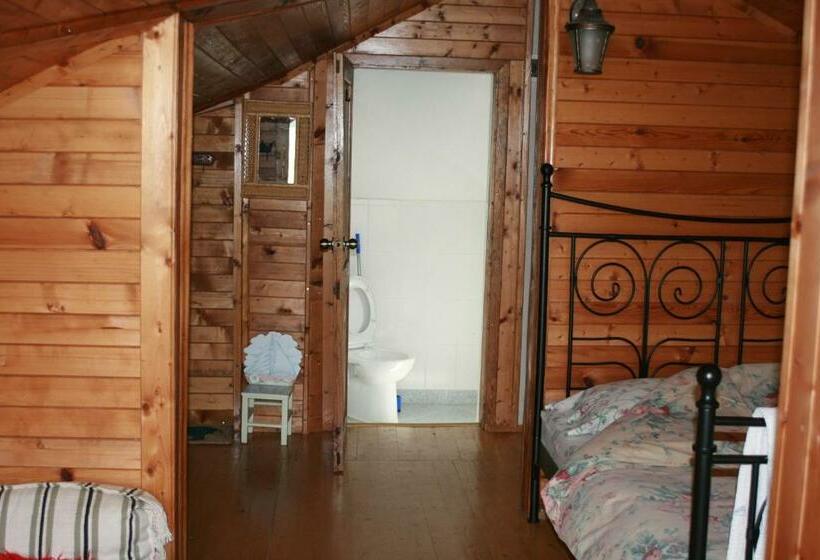 Студио Стандарт с Видом, Guest House Kamenik