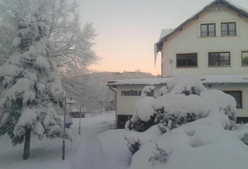 חדר אקונומי יחיד, Penzion Relax