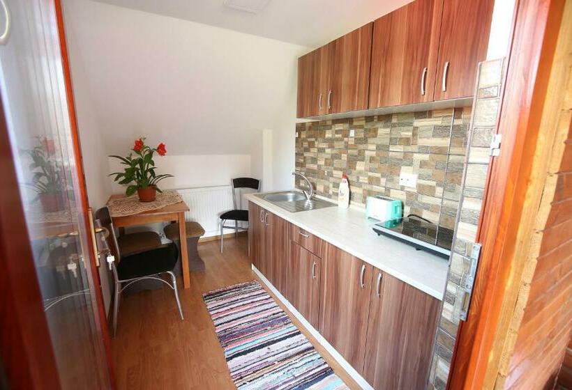 标准三人间, Pensiune Saroklak