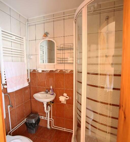 标准三人间, Pensiune Saroklak