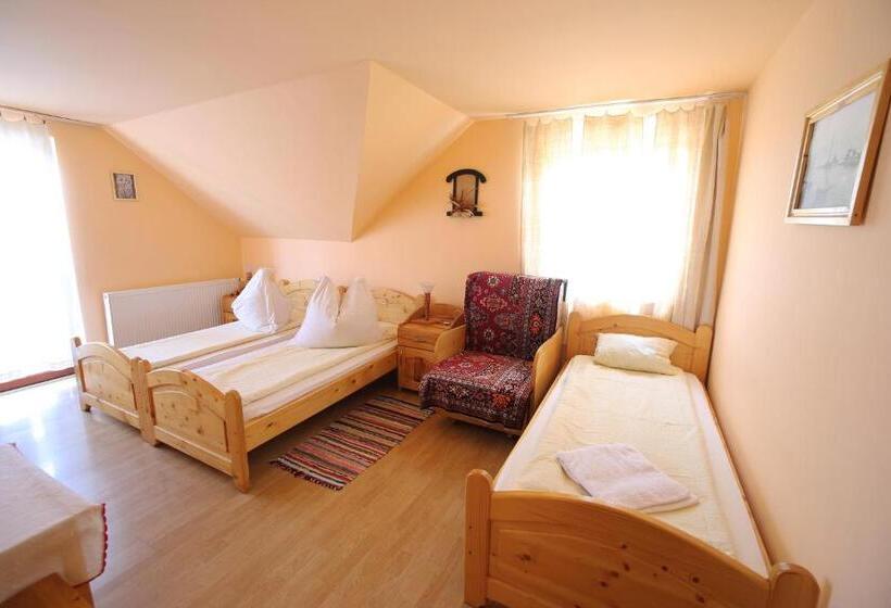 标准三人间, Pensiune Saroklak