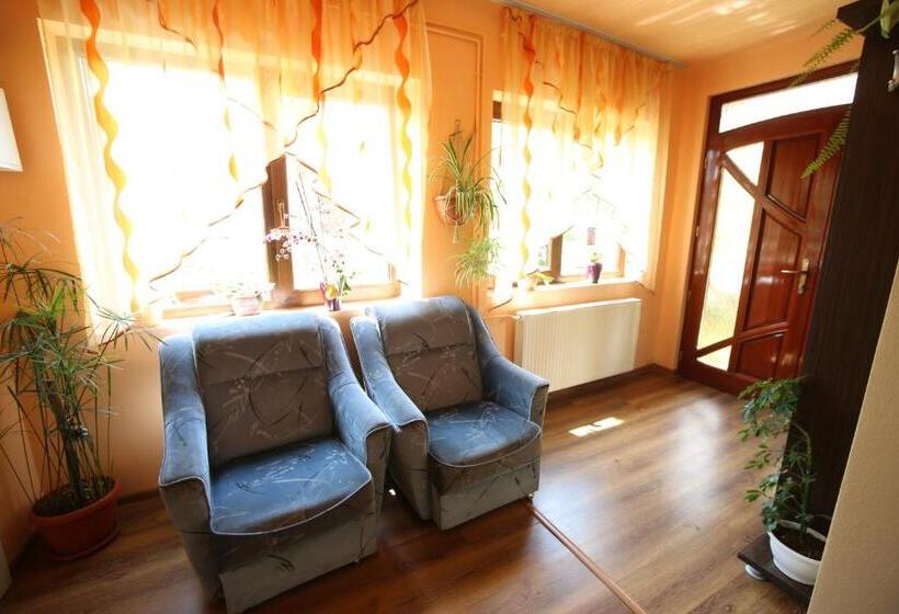 标准单人间共用浴室, Pensiune Saroklak