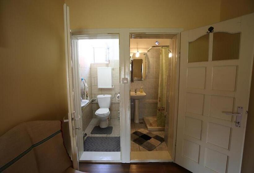 标准单人间共用浴室, Pensiune Saroklak