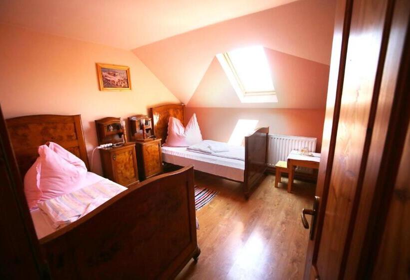 标准间, Pensiune Saroklak