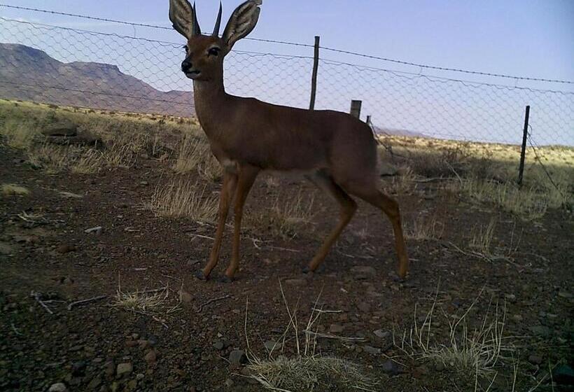 منزل غرفتين نوم, Kalkfontein Guesthouse