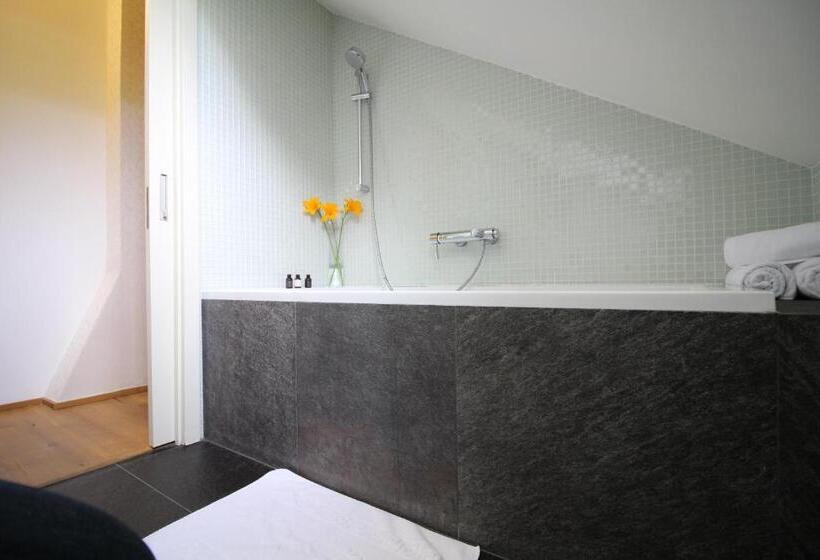 חדר סטנדרט, Panství Dlouhá Lhota