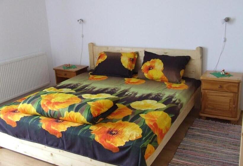 Номер Стандарт, Pensiunea Agroturistica Ioana