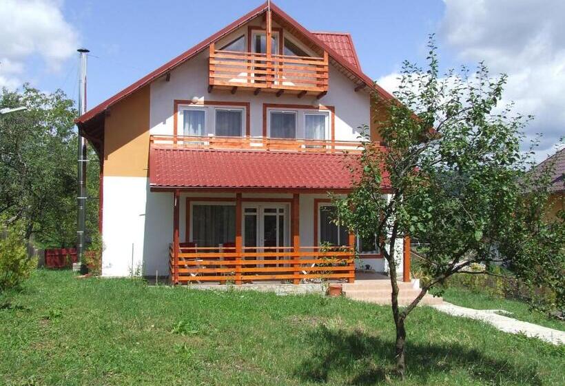 스탠다드 룸, Pensiunea Agroturistica Ioana