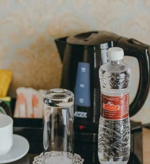 Standard Yhden Hengen Huone, Resort&spa Kamelot