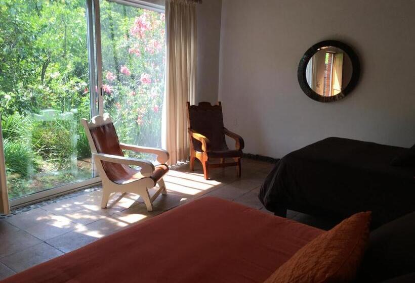 スタンダードルーム, Los Naranjos Hotel Boutique