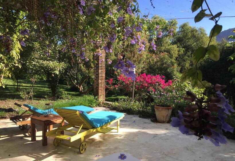 キングサイズベッドのスタンダードルーム, Los Naranjos Hotel Boutique