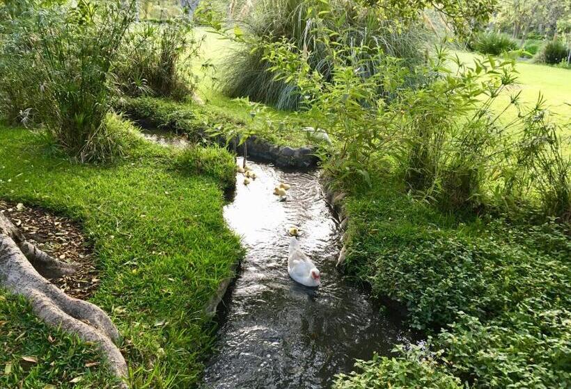 キングサイズベッドのスタンダードルーム, Los Naranjos Hotel Boutique