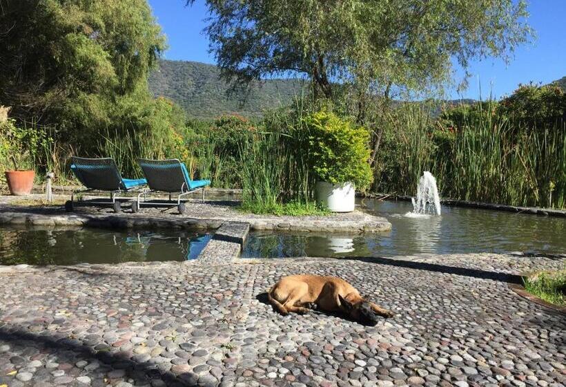 キングサイズベッドのスタンダードルーム, Los Naranjos Hotel Boutique