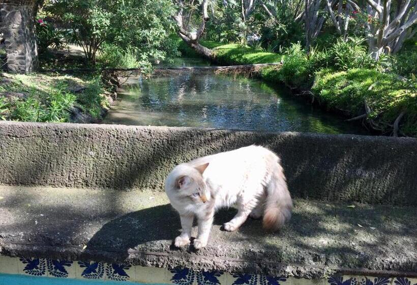 キングサイズベッドのスタンダードルーム, Los Naranjos Hotel Boutique