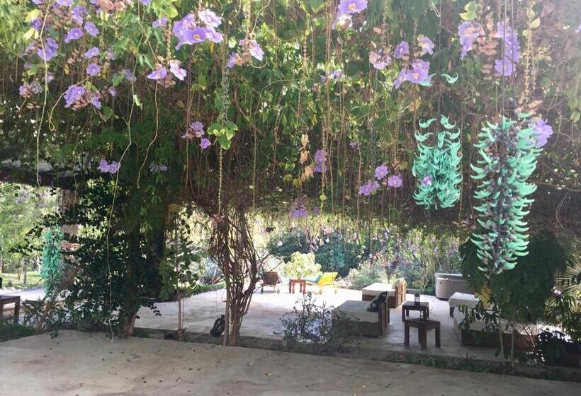 キングサイズベッドのスタンダードルーム, Los Naranjos Hotel Boutique