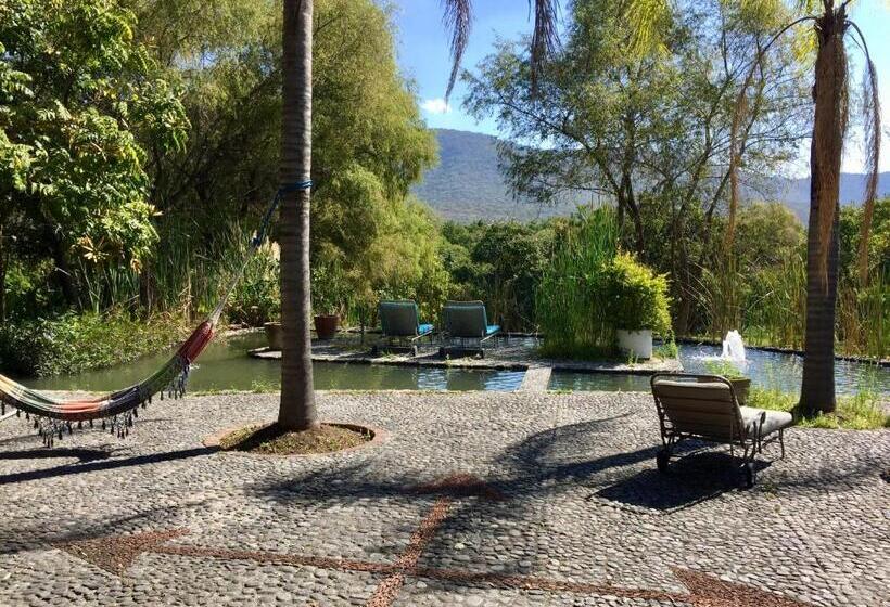 キングサイズベッドのスタンダードルーム, Los Naranjos Hotel Boutique