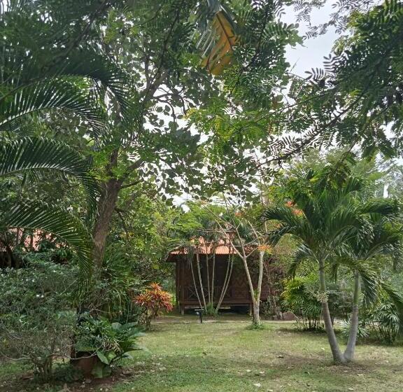 غرفة قياسية مطلّة علي الحديقة, Ban Ban Bangalow