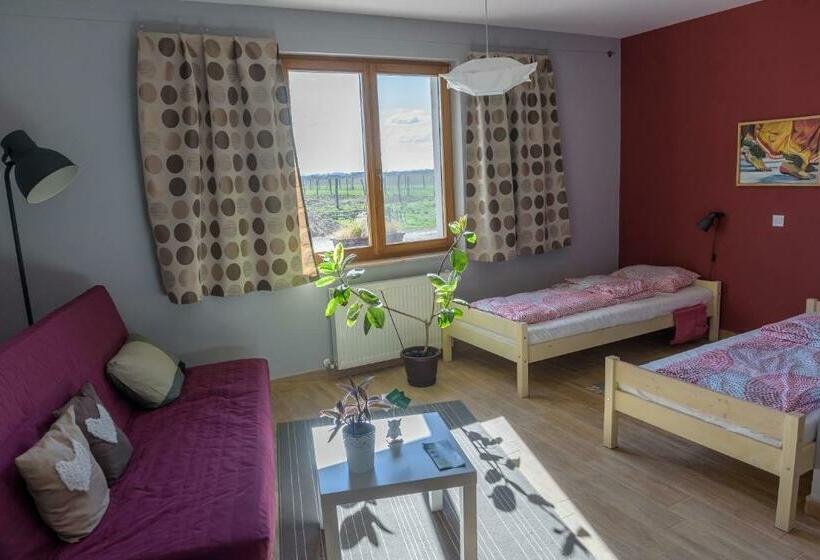 חדר סטנדרט לארבעה, Centru De Recreere Kentaur