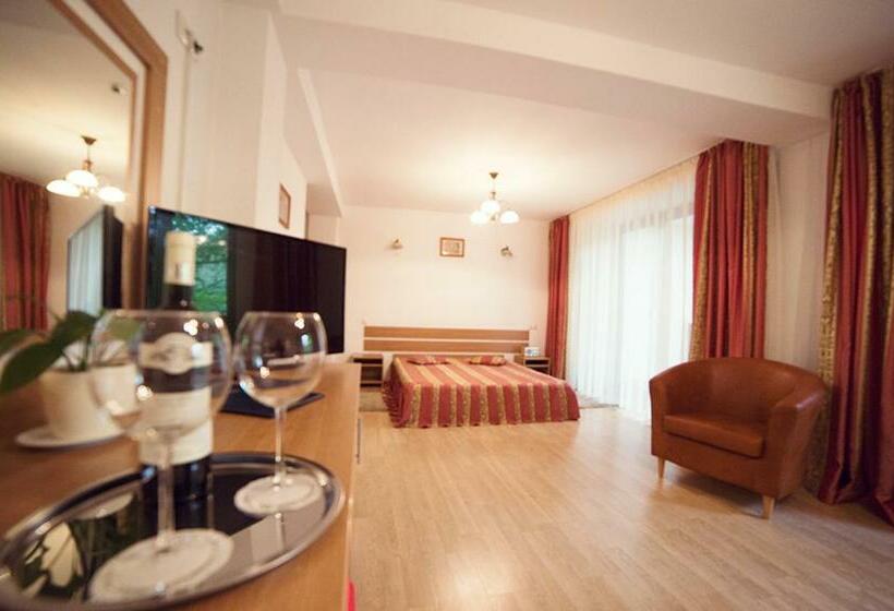 סוויטת ג'וניור, Pensiunea Comarnic Moisa