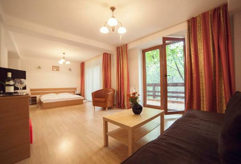 סוויטת ג'וניור, Pensiunea Comarnic Moisa