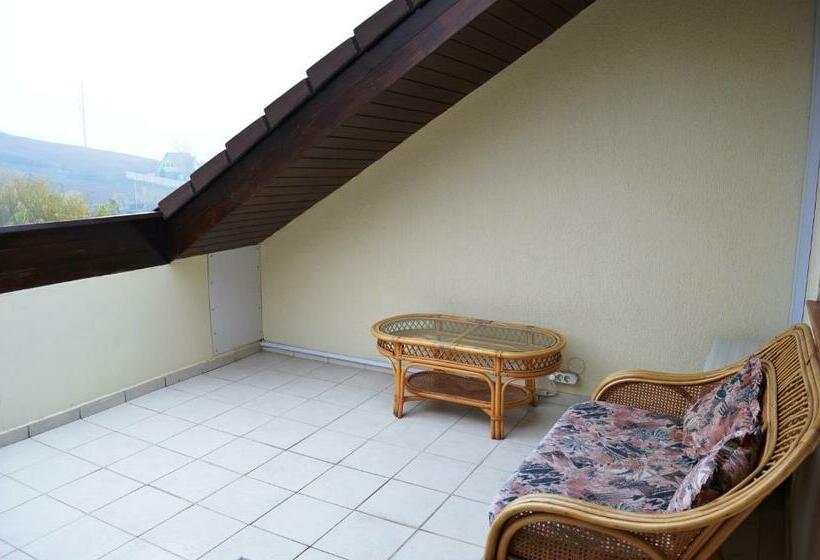 スタンダードルーム, Complex Turistic Darina Sancraiu De Mures