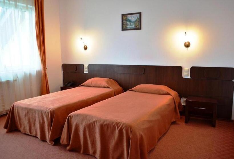 スタンダードルーム, Complex Turistic Darina Sancraiu De Mures