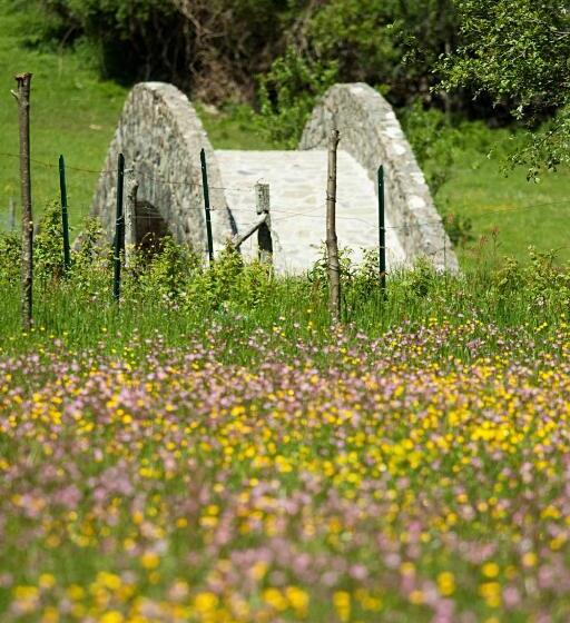 غرفة قياسية, Agriturismo Mulino Marghen   Restored Watermill   Retreat Center