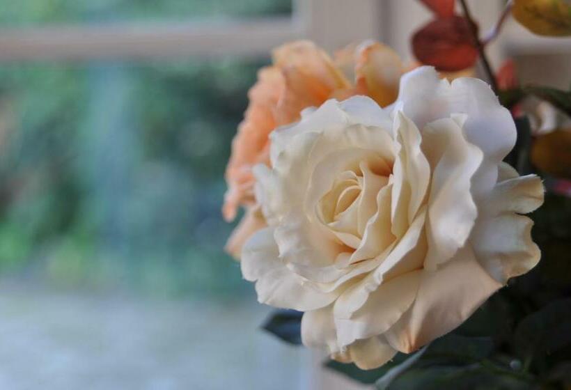 غرفة كومفورت, Grange De La Herde