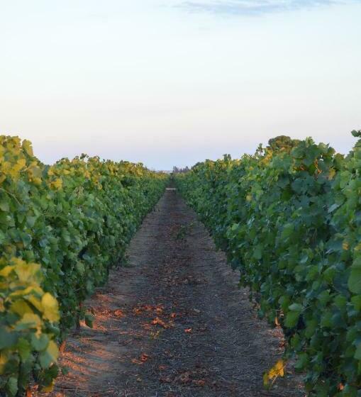 דירת שני חדרים, Masseria Montedoro