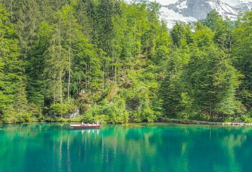 Suite with lake view, & Spa Blausee