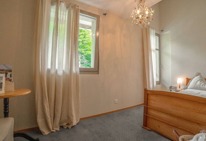 חדר סטנדרט יחיד, & Spa Blausee