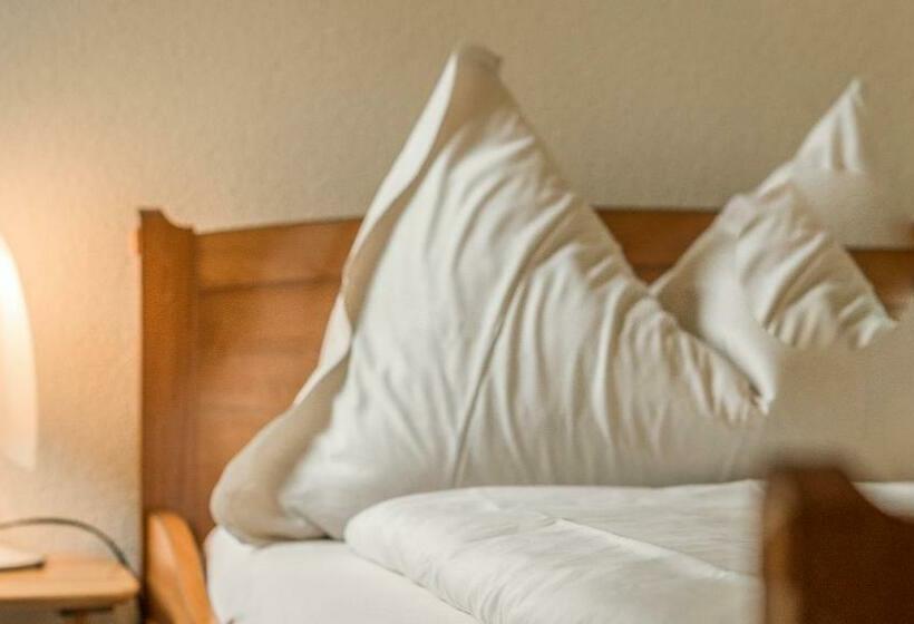 חדר סטנדרט יחיד, & Spa Blausee