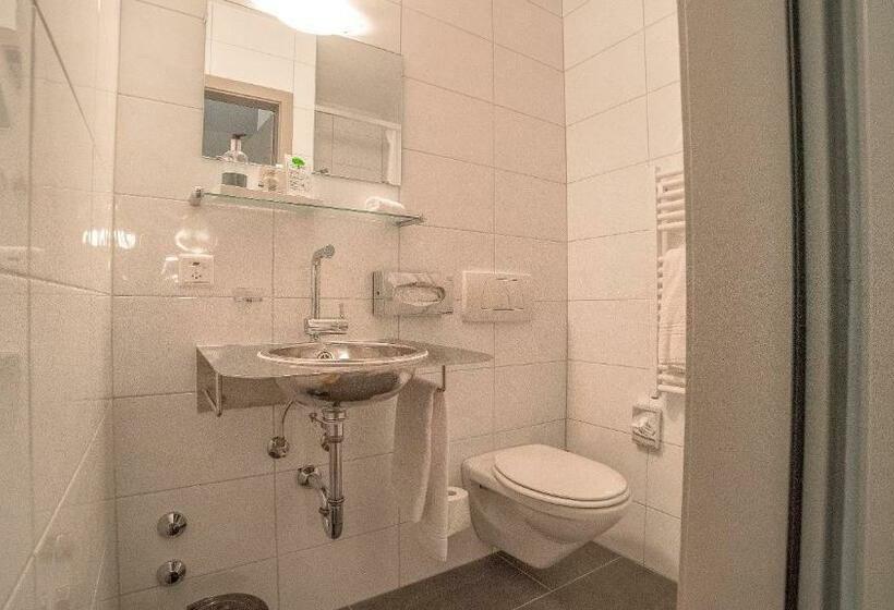 חדר סטנדרט יחיד, & Spa Blausee