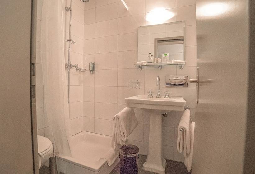 חדר סטנדרט נוף להרים, & Spa Blausee