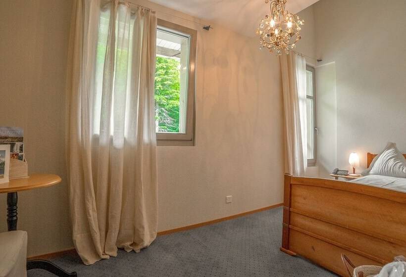 חדר סטנדרט יחיד, & Spa Blausee