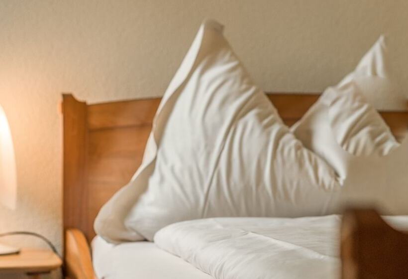 חדר סטנדרט יחיד, & Spa Blausee