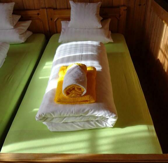 스탠다드 룸 공동 욕실, Gasthof Surselva