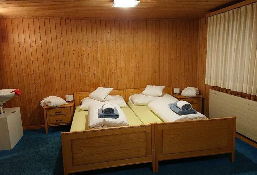 バス共有のスタンダードルーム, Gasthof Surselva