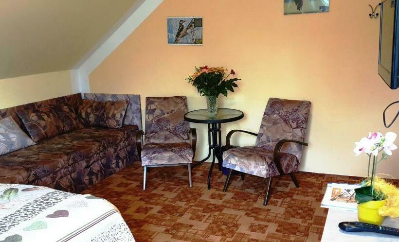 스탠다드 룸, Penzion U Sýkorů