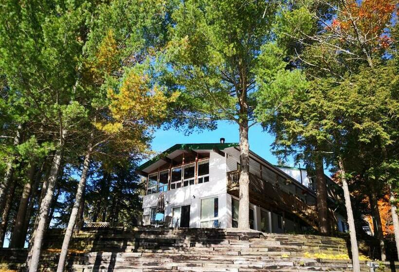 ジュニアスイート, Sunny Point Resort Ltd