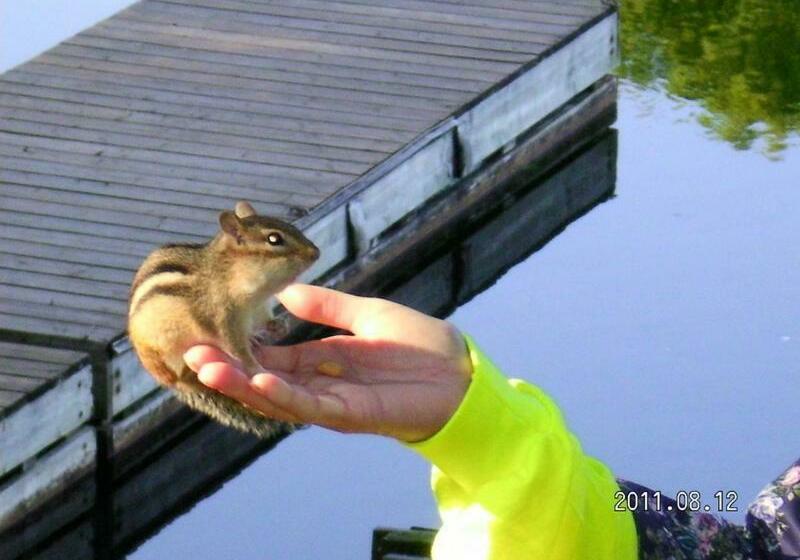 ２ベッドスイートルーム, Sunny Point Resort Ltd