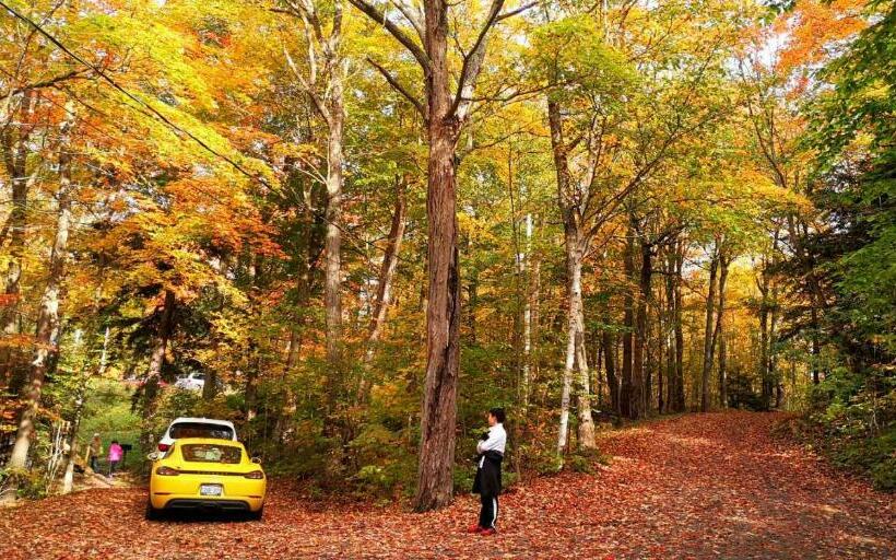 ３ベッドルームハウス, Sunny Point Resort Ltd