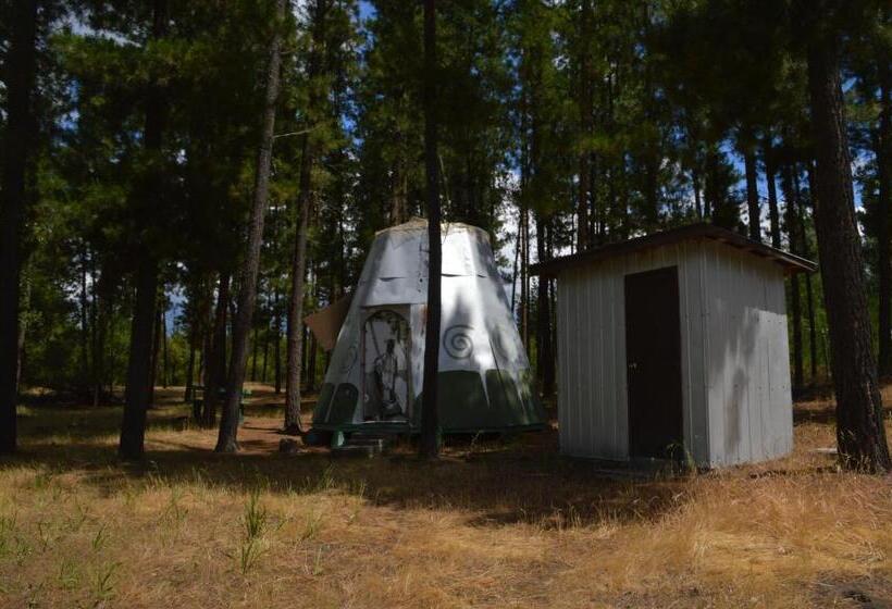 标准间, Coyunche Cabañas Y Camping Laja & San Rosendo